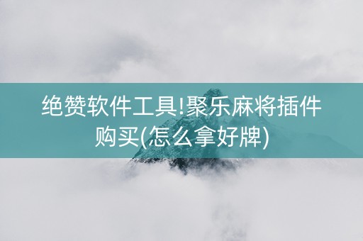 绝赞软件工具!聚乐麻将插件购买(怎么拿好牌)