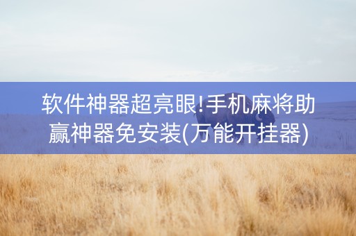 软件神器超亮眼!手机麻将助赢神器免安装(万能开挂器)