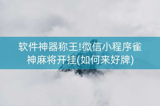 软件神器称王!微信小程序雀神麻将开挂(如何来好牌)