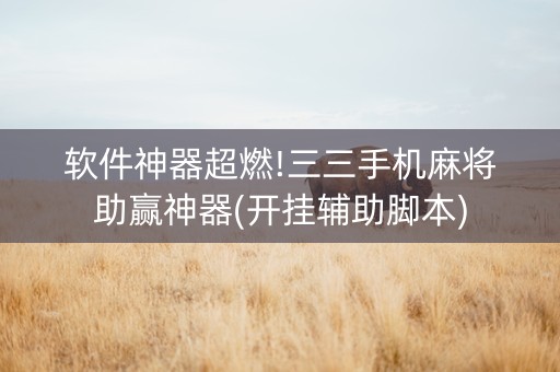 软件神器超燃!三三手机麻将助赢神器(开挂辅助脚本)