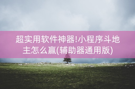 超实用软件神器!小程序斗地主怎么赢(辅助器通用版)