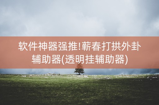 软件神器强推!蕲春打拱外卦辅助器(透明挂辅助器)