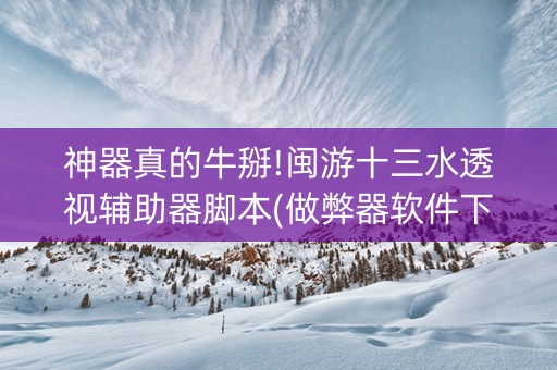 神器真的牛掰!闽游十三水透视辅助器脚本(做弊器软件下载)