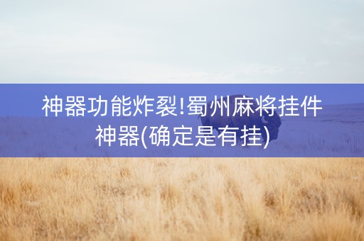 神器功能炸裂!蜀州麻将挂件神器(确定是有挂)