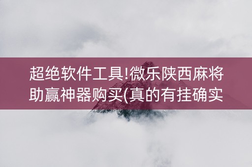 超绝软件工具!微乐陕西麻将助赢神器购买(真的有挂确实有挂)
