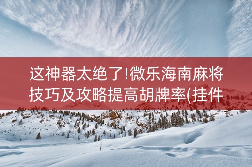 这神器太绝了!微乐海南麻将技巧及攻略提高胡牌率(挂件神器)