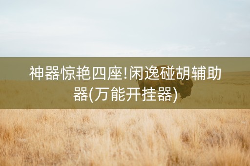 神器惊艳四座!闲逸碰胡辅助器(万能开挂器)