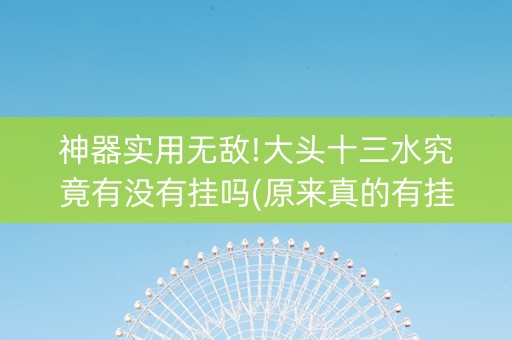 神器实用无敌!大头十三水究竟有没有挂吗(原来真的有挂)