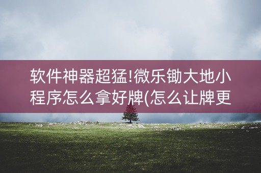 软件神器超猛!微乐锄大地小程序怎么拿好牌(怎么让牌更好)