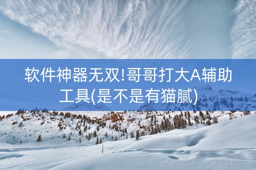 软件神器无双!哥哥打大A辅助工具(是不是有猫腻)