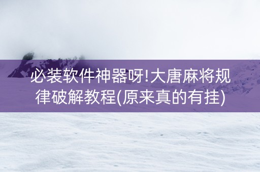 必装软件神器呀!大唐麻将规律破解教程(原来真的有挂)