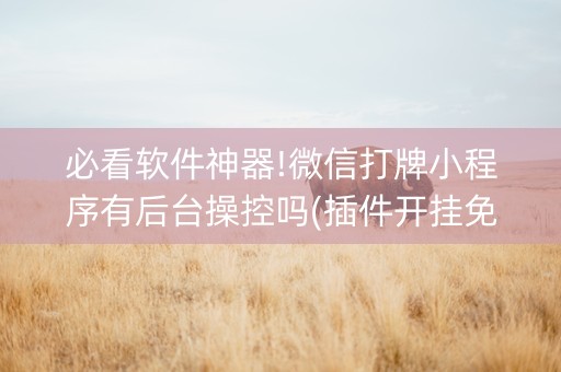 必看软件神器!微信打牌小程序有后台操控吗(插件开挂免费AI)