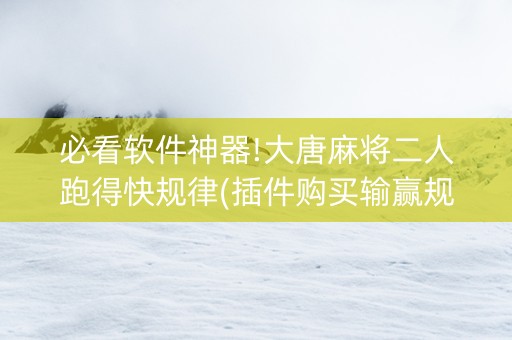 必看软件神器!大唐麻将二人跑得快规律(插件购买输赢规律)