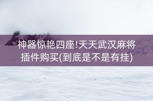 神器惊艳四座!天天武汉麻将插件购买(到底是不是有挂)
