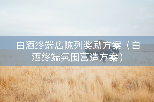白酒终端店陈列奖励方案（白酒终端氛围营造方案）