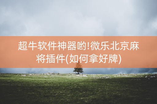 超牛软件神器哟!微乐北京麻将插件(如何拿好牌)