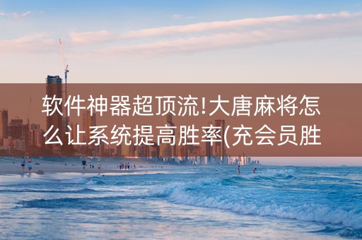 软件神器超顶流!大唐麻将怎么让系统提高胜率(充会员胜率高)