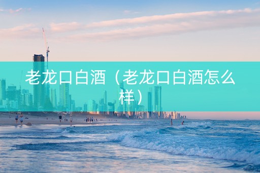 老龙口白酒（老龙口白酒怎么样）