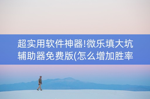 超实用软件神器!微乐填大坑辅助器免费版(怎么增加胜率)