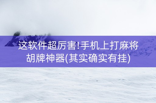 这软件超厉害!手机上打麻将胡牌神器(其实确实有挂)