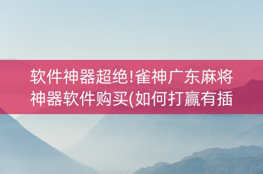 软件神器超绝!雀神广东麻将神器软件购买(如何打赢有插件吗)