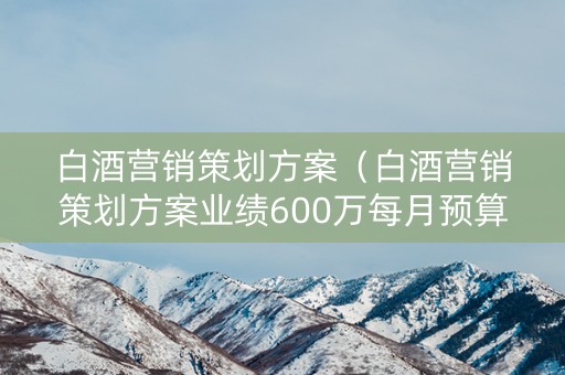 白酒营销策划方案（白酒营销策划方案业绩600万每月预算五万）
