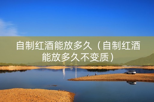 自制红酒能放多久（自制红酒能放多久不变质）