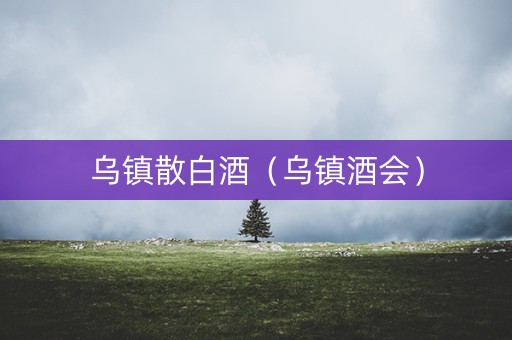 乌镇散白酒（乌镇酒会）