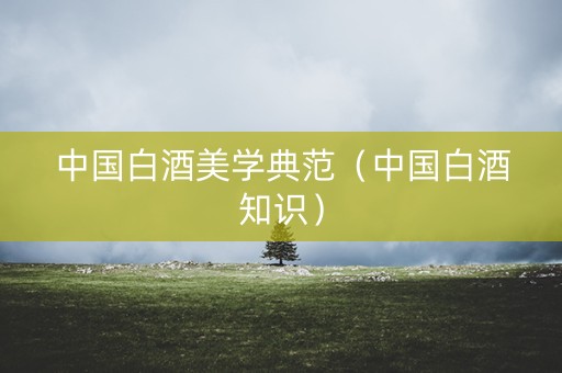 中国白酒美学典范（中国白酒知识）
