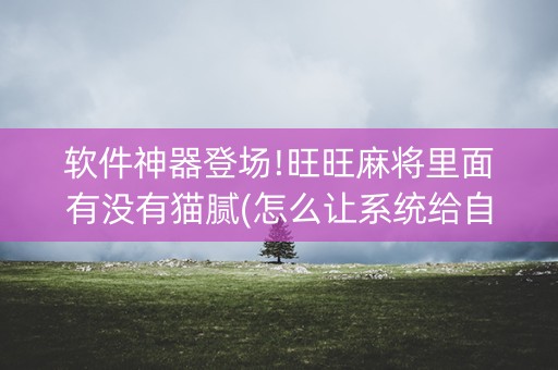 软件神器登场!旺旺麻将里面有没有猫腻(怎么让系统给自己好牌)