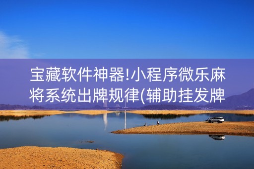 宝藏软件神器!小程序微乐麻将系统出牌规律(辅助挂发牌规律)