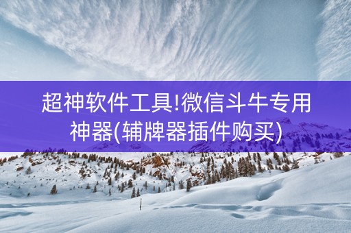超神软件工具!微信斗牛专用神器(辅牌器插件购买)