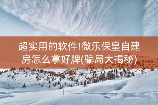 超实用的软件!微乐保皇自建房怎么拿好牌(骗局大揭秘)