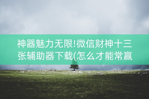 神器魅力无限!微信财神十三张辅助器下载(怎么才能常赢)