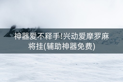 神器爱不释手!兴动爱摩罗麻将挂(辅助神器免费)