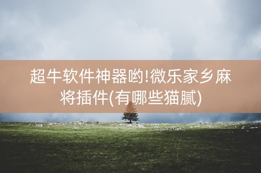 超牛软件神器哟!微乐家乡麻将插件(有哪些猫腻)