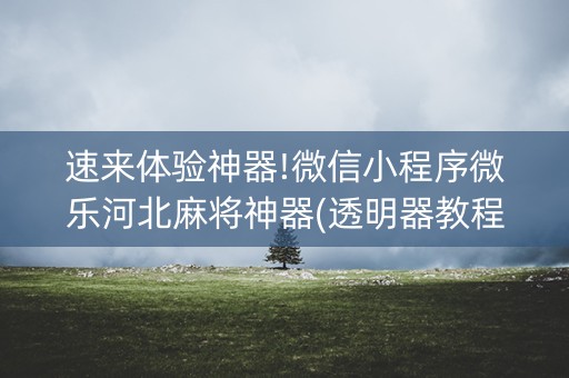 速来体验神器!微信小程序微乐河北麻将神器(透明器教程)