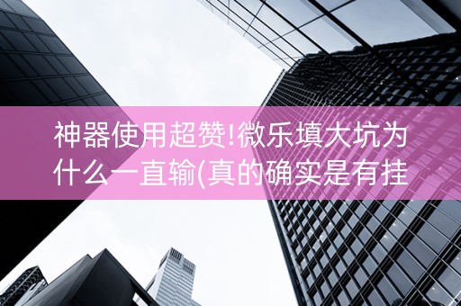 神器使用超赞!微乐填大坑为什么一直输(真的确实是有挂)