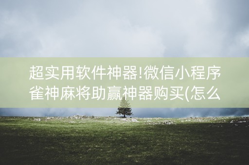 超实用软件神器!微信小程序雀神麻将助赢神器购买(怎么能让胜率高)