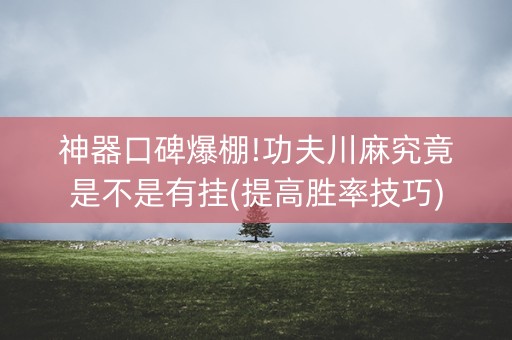 神器口碑爆棚!功夫川麻究竟是不是有挂(提高胜率技巧)