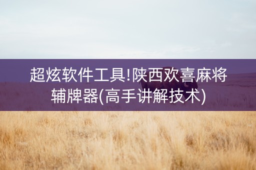 超炫软件工具!陕西欢喜麻将辅牌器(高手讲解技术)