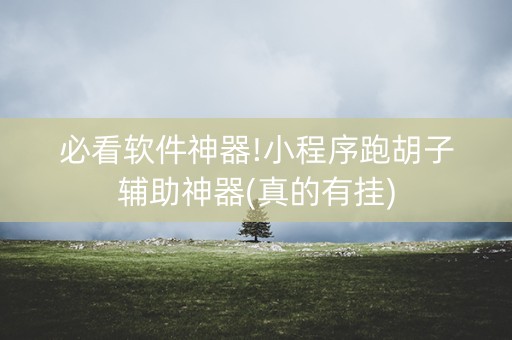 必看软件神器!小程序跑胡子辅助神器(真的有挂)