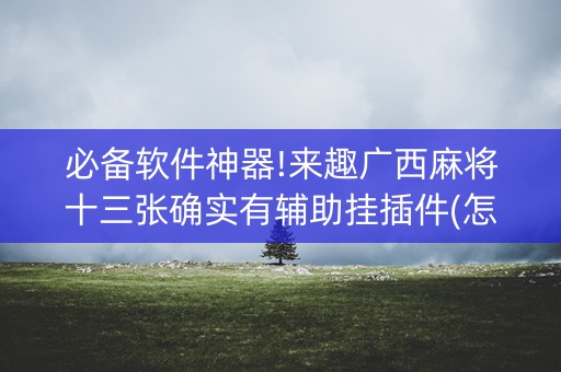 必备软件神器!来趣广西麻将十三张确实有辅助挂插件(怎么控制输赢)