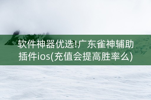 软件神器优选!广东雀神辅助插件ios(充值会提高胜率么)