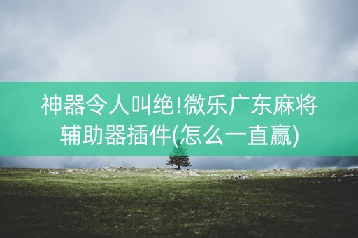 神器令人叫绝!微乐广东麻将辅助器插件(怎么一直赢)