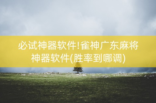 必试神器软件!雀神广东麻将神器软件(胜率到哪调)