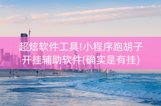 超炫软件工具!小程序跑胡子开挂辅助软件(确实是有挂)