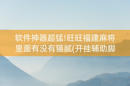 软件神器超猛!旺旺福建麻将里面有没有猫腻(开挂辅助脚本)