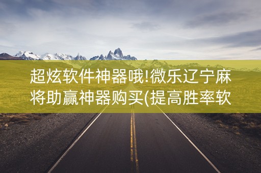 超炫软件神器哦!微乐辽宁麻将助赢神器购买(提高胜率软件)