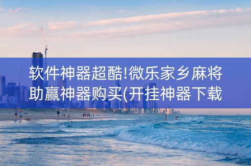软件神器超酷!微乐家乡麻将助赢神器购买(开挂神器下载)